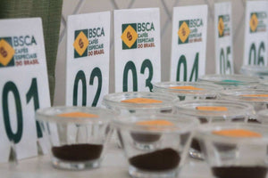 BSCA ABRE INSCRIÇÕES PARA O CUP OF EXCELLENCE - 2019