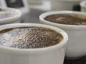 Vitória da Conquista realizará II Concurso de Qualidade do Café