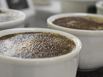 Vitória da Conquista realizará II Concurso de Qualidade do Café