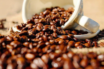 4º Conexão Caparaó tem saca de café arrematada a R$ 21.000,00 em Pedra Menina