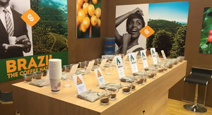 BSCA projeta redução de até 40% na safra de cafés especiais do Brasil