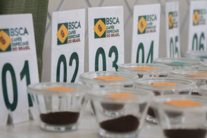Concursos foram fundamentais para o mercado de cafés especiais, destaca pesquisa da UFLA